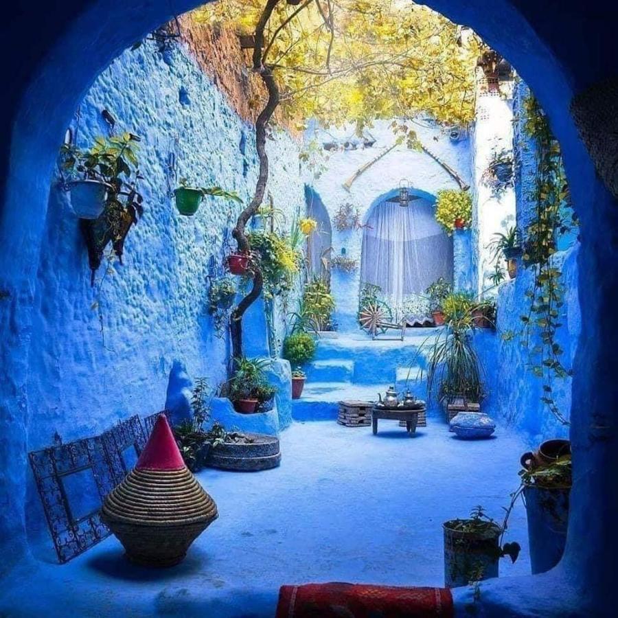 Joli Studio De Charme A Chaouen Chefchaouen Eksteriør billede