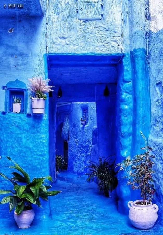 Joli Studio De Charme A Chaouen Chefchaouen Eksteriør billede
